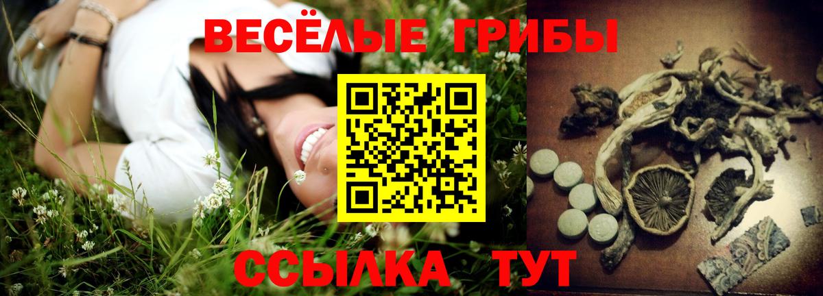 Галлюциногенные грибы Psilocybe Ханты-Мансийск