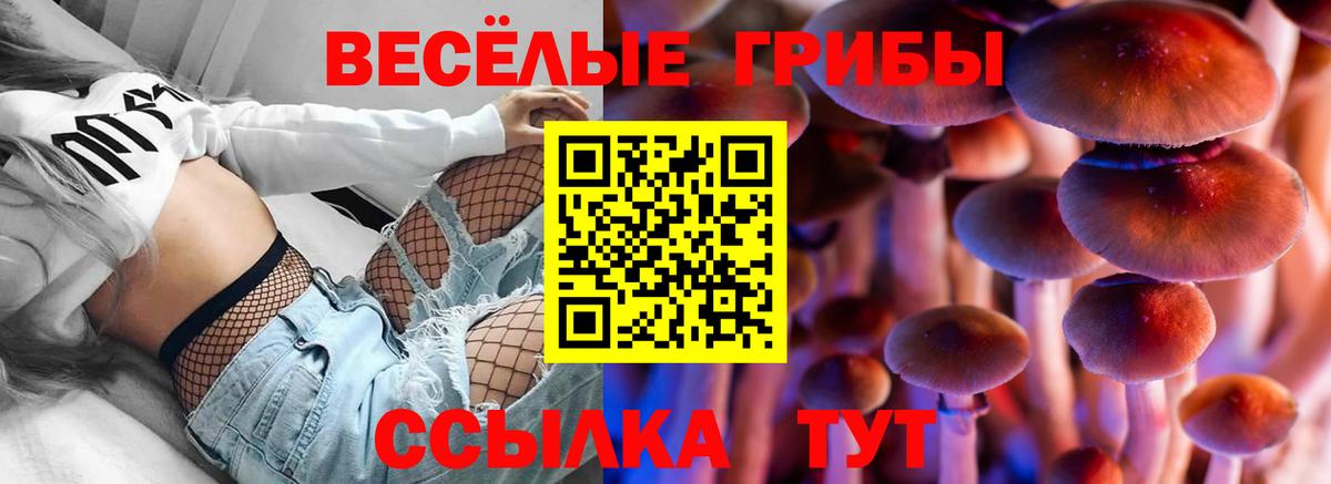 Ханты-Мансийск  Галлюциногенные грибы мухоморы  Галлюциногенные грибы Psilocybe  Вход с VPN 